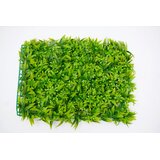 BOLZZ zeleni zid 3D flora 40X60 cm bolzzidflora cene