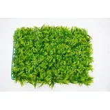 zeleni zid 3D flora 40X60 cm bolzzidflora