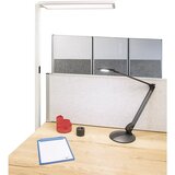 Maul Stoječa LED-svetilka senja, skupna višina 1960 mm, srebrne barve | Shoptok.si