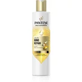 Pantene Pro-V Bond Repair krepilni šampon za poškodovane lase z biotinom 250 ml