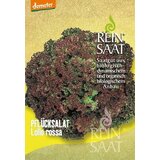 ReinSaat Solata "Lollo rossa" Cene