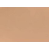 Plume Nourish & Set Brow Gel - Golden Silk Cene
