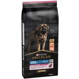 Pro Plan Large Robust Adult Sensitive Skin losos - 14 kg | shoptok.hr