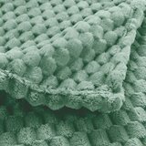 Douceur d intérieur Svetlo zelena odeja iz mikroflanele 125x150 cm Mini Frosty – | Shoptok.si