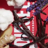 Diesel D BY toaletna voda uniseks 50 ml | Shoptok.si