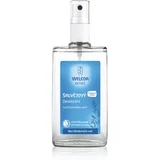 žalfija dezodorans 100ml