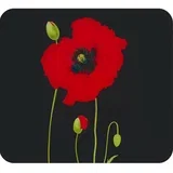 Zidna zaštitna ploča za štednjak od kaljenog stakla 50x56 cm Poppy –