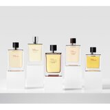 Hermès Terre d’Eau de Parfum Intense parfumska voda intense za moške 30 ml | Shoptok.si