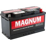 Magnum Akumulator 12 V, 100 Ah, D+ | Eponuda.com