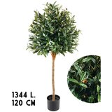 Lilium stablo masline 1344 lista 120 cm | Eponuda.com