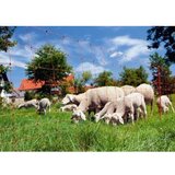 Neutral MREŽA OVINET 90cm DVOSTRUKA-50m | ePonuda.com