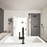 Hansgrohe 76063670 Finoris Click-Clack visoka izvlečna armatura za umivalnik | Shoptok.si