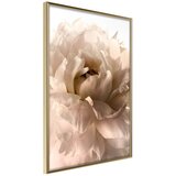  Poster - Bloom 40x60 Cijene