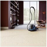 Electrolux ECC21-4SB SESALNIK BREZ VREČKE | Shoptok.si