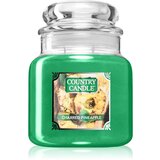 Country Candle Charred Pineapple mirisna svijeća 510 g | shoptok.hr