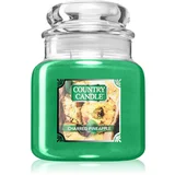 Country Candle Charred Pineapple mirisna svijeća 510 g