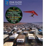 POSNETI MEDIJI PINK FLOYD - A MOMENTARY LAPSE OF REASON CD+BLURAY, (693654) | Shoptok.si