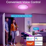 HEYESEVEN LED stropna svetilka RGB pametna Alexa/Google | Shoptok.si