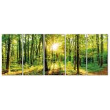  Slika - Magic Forest 200x80 Akustična | shoptok.hr