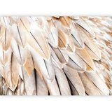  Foto tapeta - Close-up of bird's wings - uniform close-up on beige bird feathers 500x350 | shoptok.hr