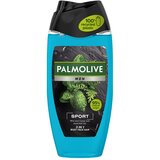 Palmolive gel za tuširanje za muškarce men sport revitalizing 2u1 250ml Cene