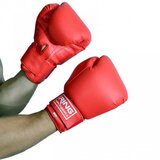 Olimp Sport Rukavice za boks 14 oz RS 2411-14 | ePonuda.com