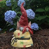 Smania par vrtnih palčkov gnomestock | Shoptok.si