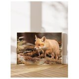 WALLXPERT dekorativna slika u okviru 50 x 70 cm | Eponuda.com