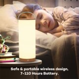 Taotronics prijenosna LED svjetiljka TT-DL23 | shoptok.hr
