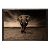 Wallity slika strong elephant, 50 x 70 cm | ePonuda.com