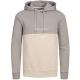 Jack & Jones Sweater majica 'Ryder' bež / siva