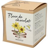 naturkraftwerk Set za gojenje Fleur de chocolat | Shoptok.si