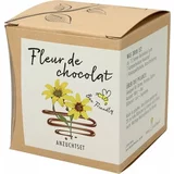 naturkraftwerk Set za gojenje Fleur de chocolat