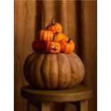Sinsay Dekorativne Halloween bundeve 6 komada | shoptok.hr