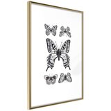  Poster - Butterfly Collection IV 40x60 Cijene