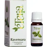Ulje Ravensara 10ml
