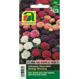 AUSTROSAAT Nebina (Callistephus) "škrat" mešanica Cene