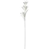 Eglo living veštačka biljka Molave 428119 | ePonuda.com