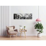 Wallity Set slika 1213, 3 Dela | ePonuda.com