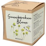 naturkraftwerk Pridelovalni komplet za Cephalophora Aromatica Cene