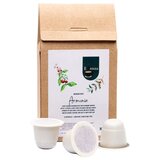 Essenza Armonia Nespresso kapsule (10 komada) | shoptok.hr