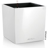 LECHUZA Okrasni lonec CUBE Premium 50 - D:50 x Š:50 / V:50 Cene