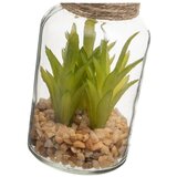 Casa Selección Umetne rastline v kompletu 4 ks (višina 12 cm) Cactus – | Shoptok.si