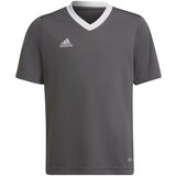 Adidas Tehnička sportska majica 'Entrada 22' grafit siva / bijela | shoptok.hr