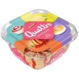 Frikom sladoled QUATTRO Sunshine 1500ml | ePonuda.com