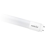 MAX-LED led cevna sijalka T8 G13 10W 60 cm 4000K steklo Cene