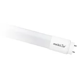led cevna sijalka T8 G13 10W 60 cm 4000K steklo