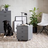 Mömax Predalnik Na Kolescih 4-You, Antracit | Shoptok.si
