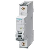 Siemens Zaštitni prekidač za vodove Siemens 5SY4116-8 1 ST | Eponuda.ba