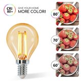 Aigostar led sijalica G45 E14/4W/230V 2200K | Eponuda.com